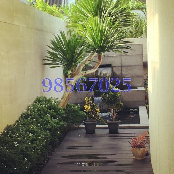 Pavilion Park (D23), Terrace #121599162